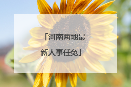 河南两地最新人事任免
