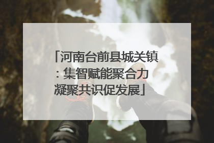 河南台前县城关镇：集智赋能聚合力 凝聚共识促发展
