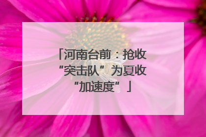 河南台前：抢收“突击队”为夏收“加速度”