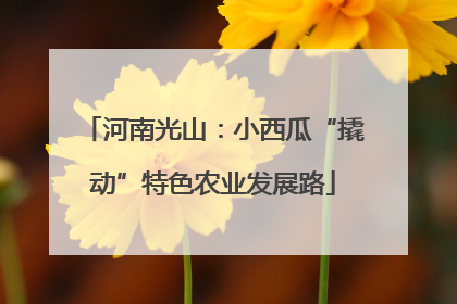 河南光山：小西瓜“撬动”特色农业发展路