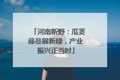河南新野：瓜蒌藤蔓展新绿，产业振兴正当时