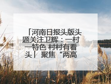河南日报头版头题关注卫辉：一村一特色 村村有看头 ︳聚焦“两高四着力”·一“县”观察