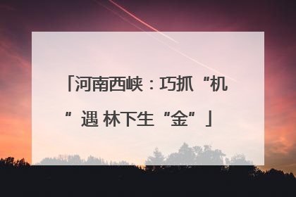 河南西峡：巧抓“机”遇 林下生“金”