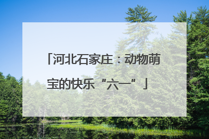 河北石家庄：动物萌宝的快乐“六一”