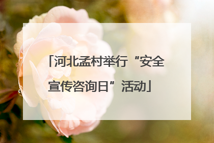 河北孟村举行“安全宣传咨询日”活动