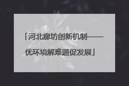 河北廊坊创新机制——优环境解难题促发展