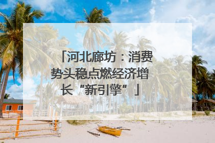 河北廊坊：消费势头稳点燃经济增长“新引擎”