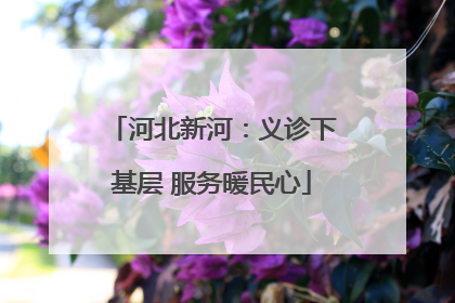 河北新河：义诊下基层 服务暖民心