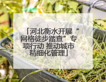 河北衡水开展“网格徒步踏查”专项行动 推动城市精细化管理