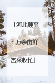 河北顺平：万余亩鲜杏采收忙