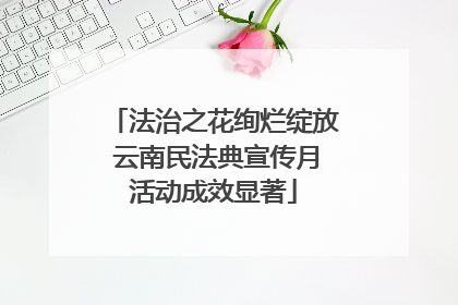 法治之花绚烂绽放 云南民法典宣传月活动成效显著