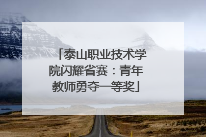 泰山职业技术学院闪耀省赛：青年教师勇夺一等奖