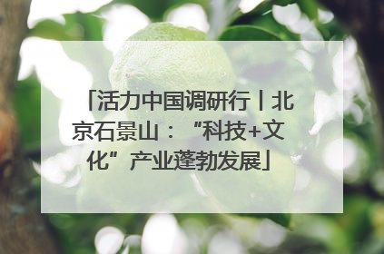 活力中国调研行丨北京石景山：“科技+文化”产业蓬勃发展