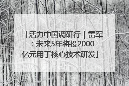 活力中国调研行｜雷军：未来5年将投2000亿元用于核心技术研发