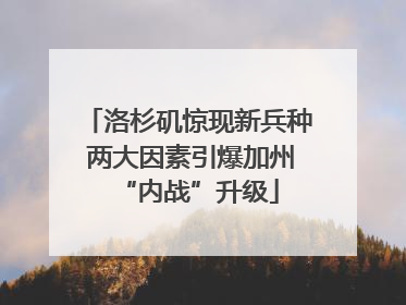 洛杉矶惊现新兵种 两大因素引爆加州“内战”升级