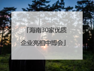 海南30家优质企业亮相中博会