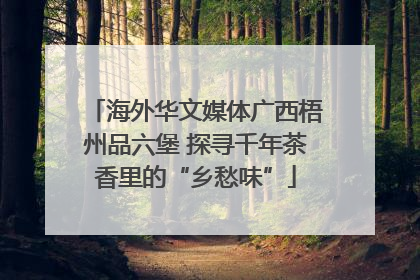 海外华文媒体广西梧州品六堡 探寻千年茶香里的“乡愁味”