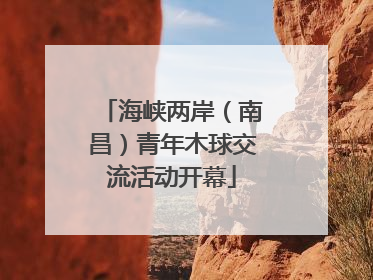 海峡两岸（南昌）青年木球交流活动开幕