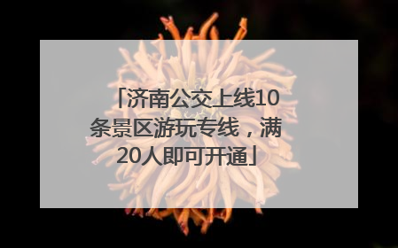 济南公交上线10条景区游玩专线，满20人即可开通