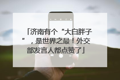 济南有个“大白胖子”，是世界之最！外交部发言人都点赞了