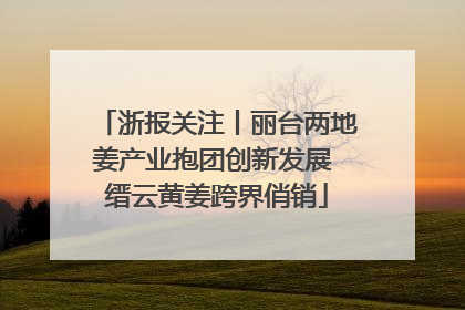 浙报关注丨丽台两地姜产业抱团创新发展 缙云黄姜跨界俏销