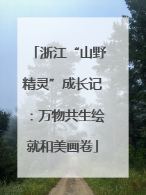 浙江“山野精灵”成长记：万物共生绘就和美画卷