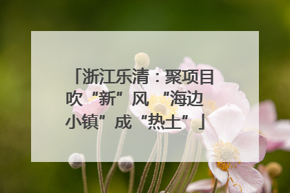 浙江乐清：聚项目吹“新”风 “海边小镇”成“热土”