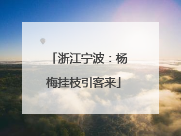 浙江宁波：杨梅挂枝引客来