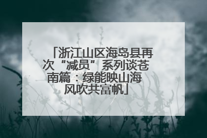 浙江山区海岛县再次“减员”系列谈苍南篇：绿能映山海 风吹共富帆