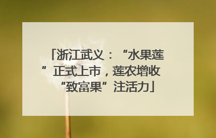 浙江武义：“水果莲”正式上市，莲农增收“致富果”注活力