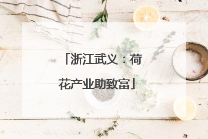 浙江武义：荷花产业助致富