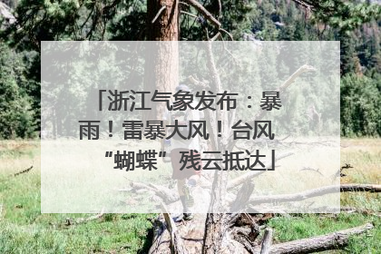 浙江气象发布：暴雨！雷暴大风！台风“蝴蝶”残云抵达