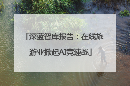 深蓝智库报告：在线旅游业掀起AI竞速战