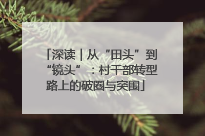 深读｜从“田头”到“镜头”：村干部转型路上的破圈与突围