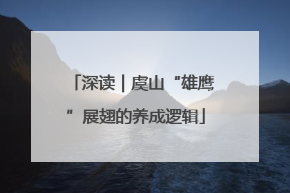 深读｜虞山“雄鹰”展翅的养成逻辑