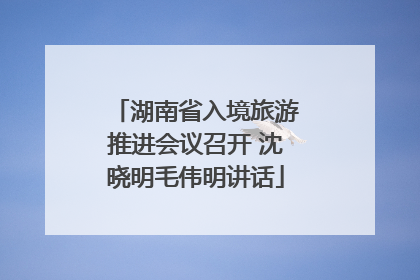 湖南省入境旅游推进会议召开 沈晓明毛伟明讲话