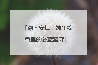 湖南安仁：端午粽香里的藏蓝坚守