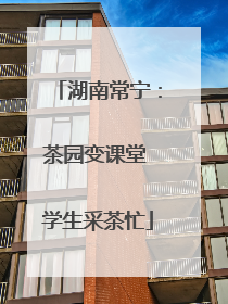 湖南常宁：茶园变课堂 学生采茶忙