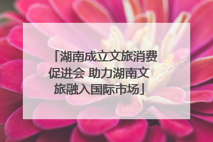 湖南成立文旅消费促进会 助力湖南文旅融入国际市场