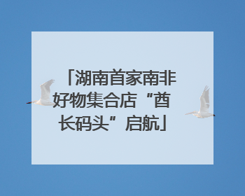 湖南首家南非好物集合店“酋长码头”启航