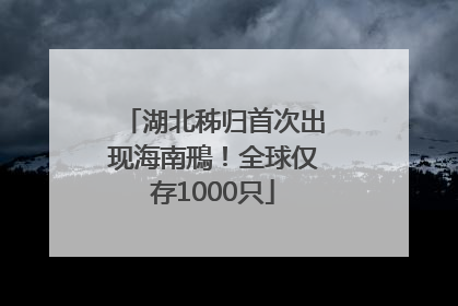 湖北秭归首次出现海南鳽！全球仅存1000只