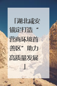 湖北咸安锚定打造“营商环境首善区”助力高质量发展