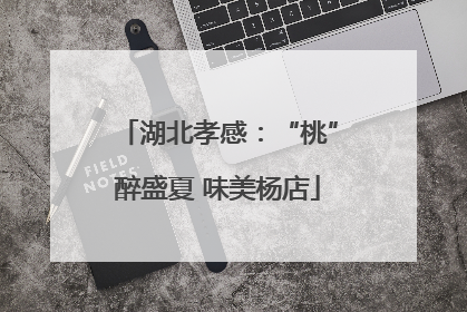 湖北孝感：“桃”醉盛夏 味美杨店