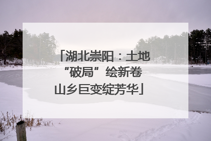 湖北崇阳：土地“破局”绘新卷 山乡巨变绽芳华