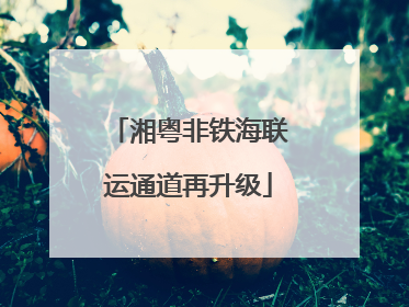 湘粤非铁海联运通道再升级