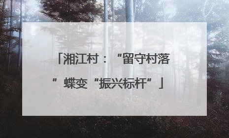 湘江村：“留守村落”蝶变“振兴标杆”