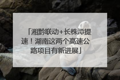 湘黔联动+长株潭提速！湖南这两个高速公路项目有新进展