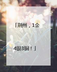 荆州，1金4银3铜！