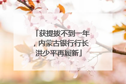 获提拔不到一年，内蒙古银行行长洪少平再履新
