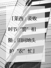 莱西：麦收时节“警”相随，田间地头护“农”忙